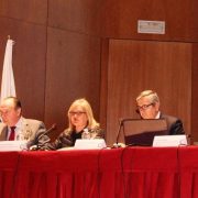 jornada-ico-valencia-14feb19-2