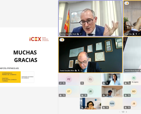 DAVID MARTÍNEZ HORNILLOS_14
